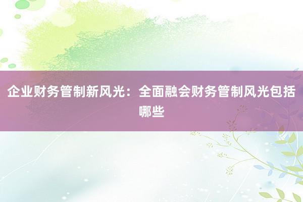 企业财务管制新风光：全面融会财务管制风光包括哪些